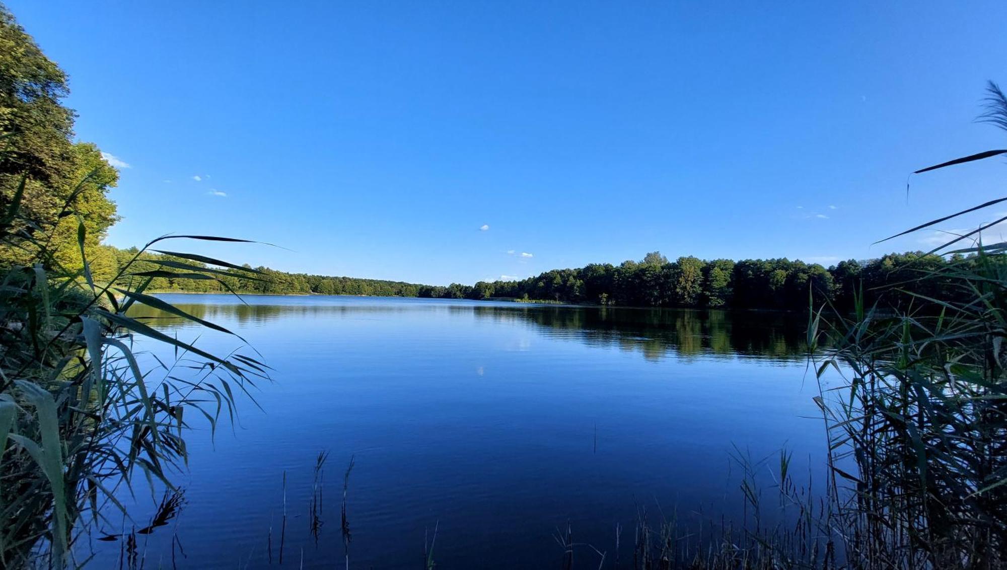 Коттеджный Городок Чапаевка, Голосеевкий Район เคียฟ ภายนอก รูปภาพ