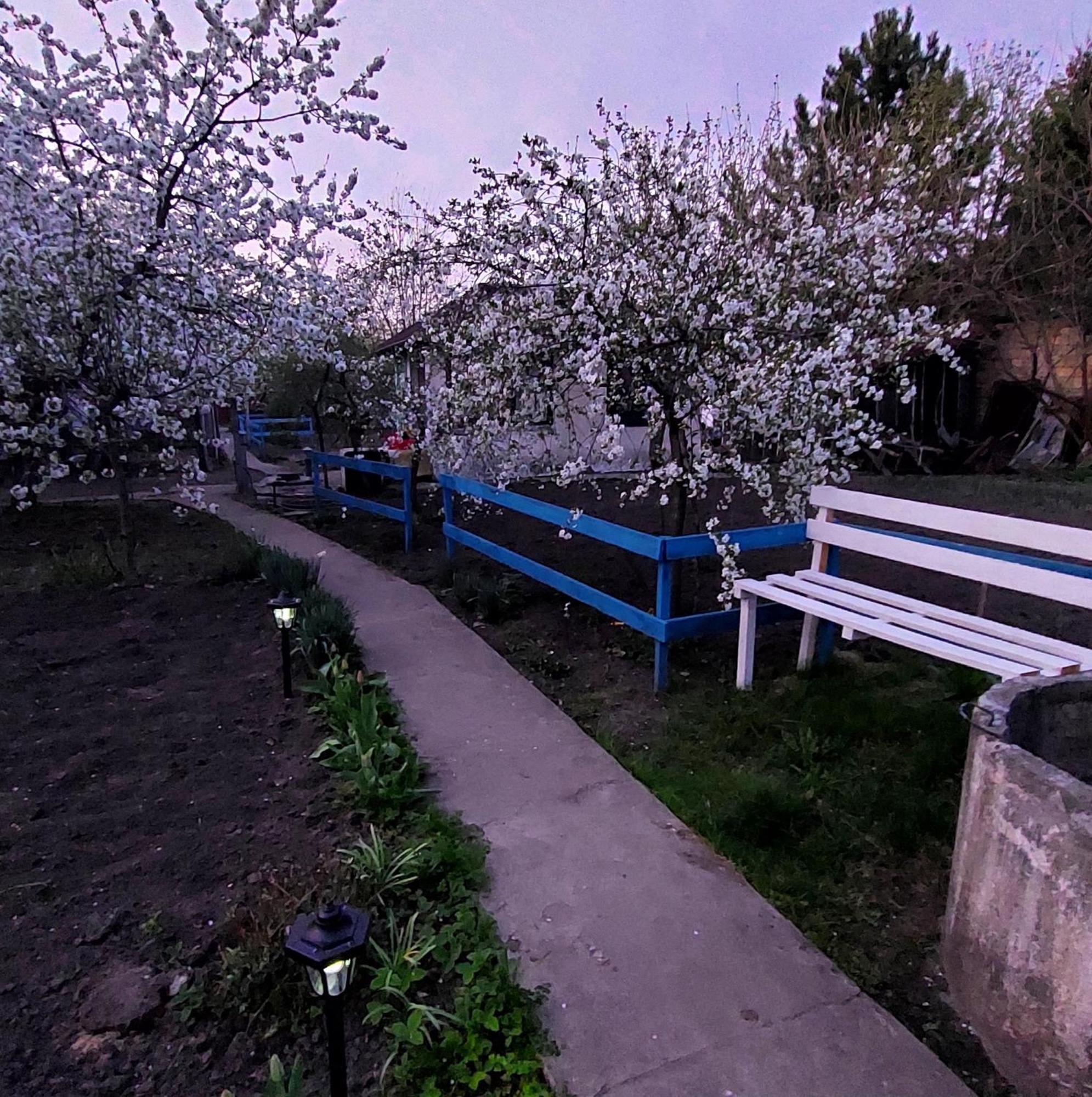 Коттеджный Городок Чапаевка, Голосеевкий Район เคียฟ ภายนอก รูปภาพ